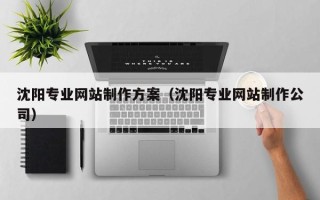 江苏沈阳专业网站制作方案（沈阳专业网站制作公司）